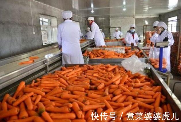 胃病|经常胃痛、反酸？营养师提醒：做好这3点，老胃病也会变好