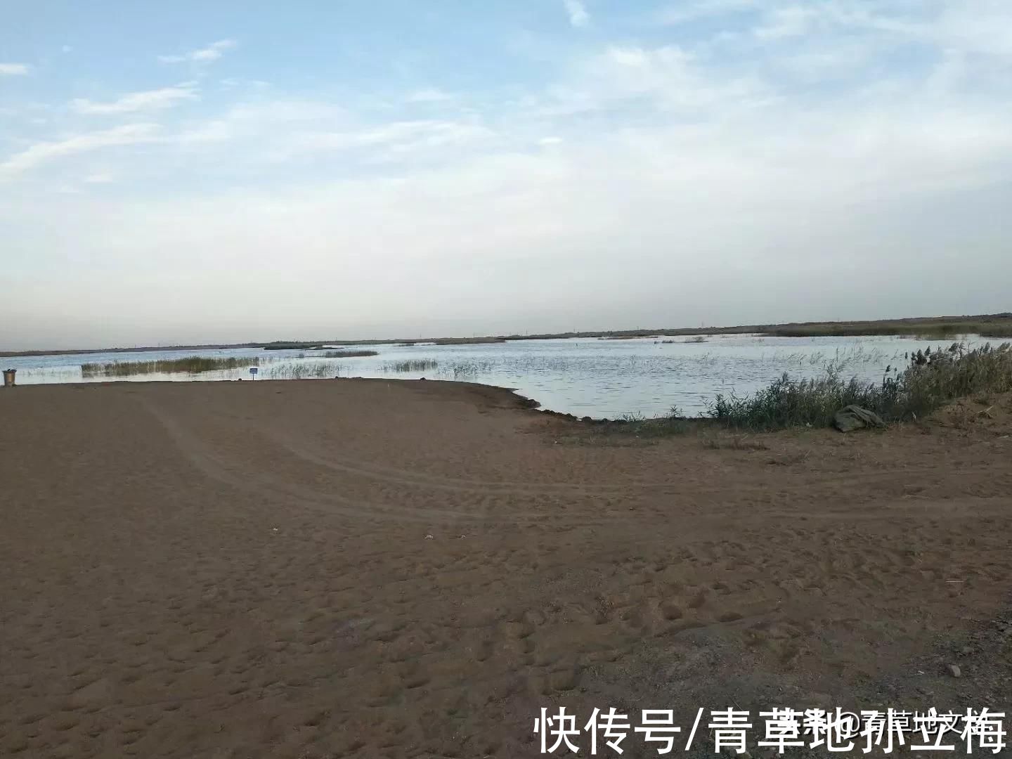 梭梭林@屠申泽，今日芦花又飞雪(组诗)