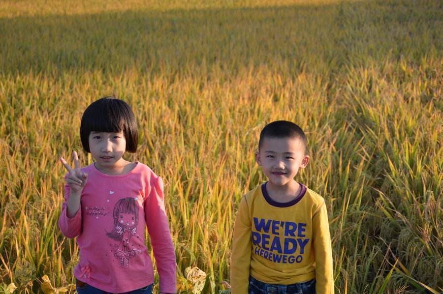 弟弟|双胞胎兄弟被姐姐训哭,妈妈安慰:再忍忍,还有50天姐姐就开学了