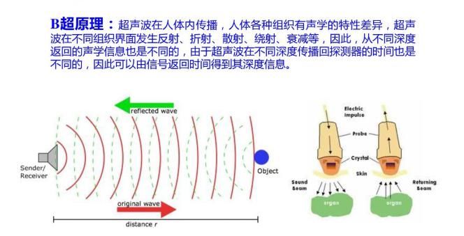 不行|做B超时在身上抹的液体是什么？对身体有伤害吗？专家：不抹不行