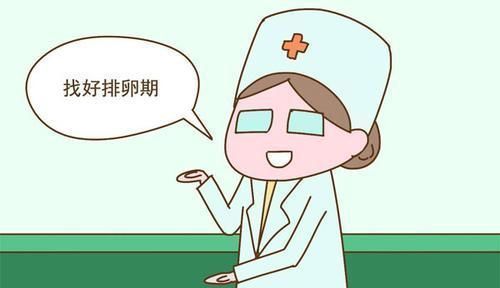 排卵受孕|想生男孩子,夫妻要把握这四个时间,成功概率很高哦!