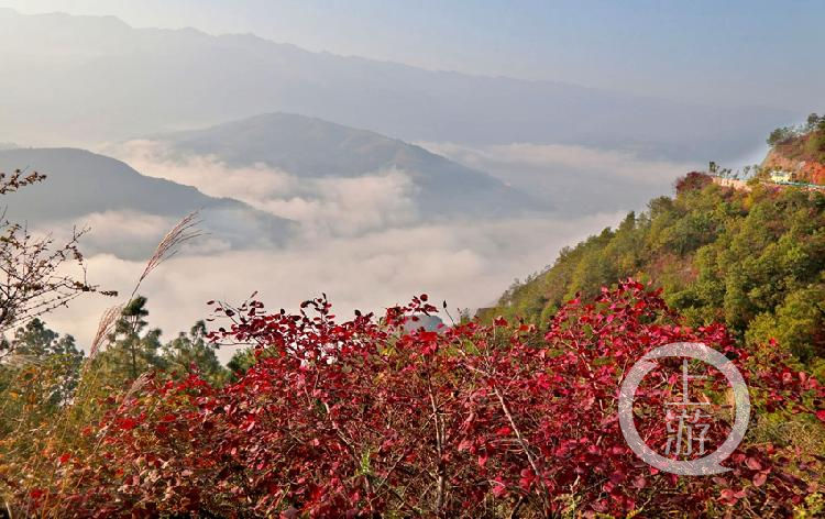 君未识|巫山官渡紫阳台 多少绝景君未识