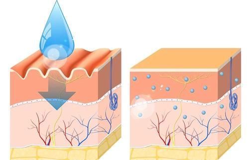 小可爱们|胶原蛋白VS玻尿酸,拿什么拯救这张不想衰老的脸
