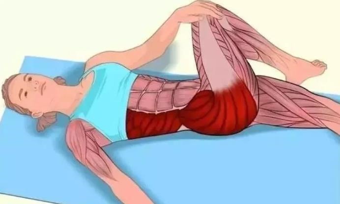 肌肉|全身拉筋3D图解,一步到位,在家也能强身健体