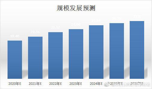 报告|2020-2025年中国半导体硅市场前瞻与投资预测报告