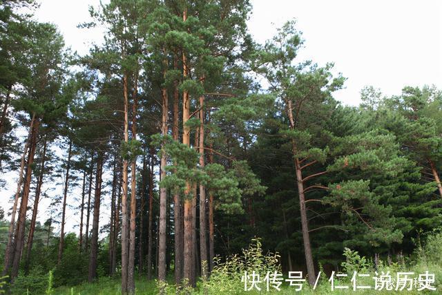 临渭区|陕西男子在林场发现古墓，花两晚盗挖，得1只红陶碗，2只蒜头瓶