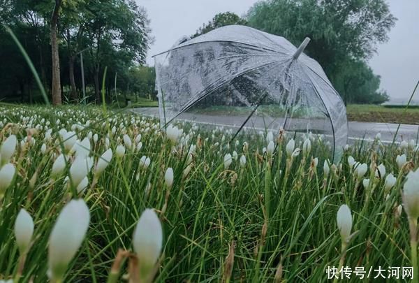 8月末的河南斜風細雨送秋涼氣溫徘徊在 徹底 涼涼 中國熱點