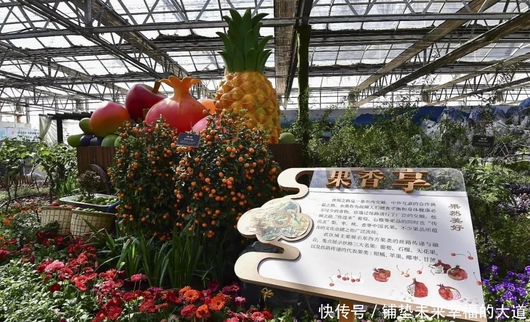 农民|安排上了!让昌平乡村更美,农民更富