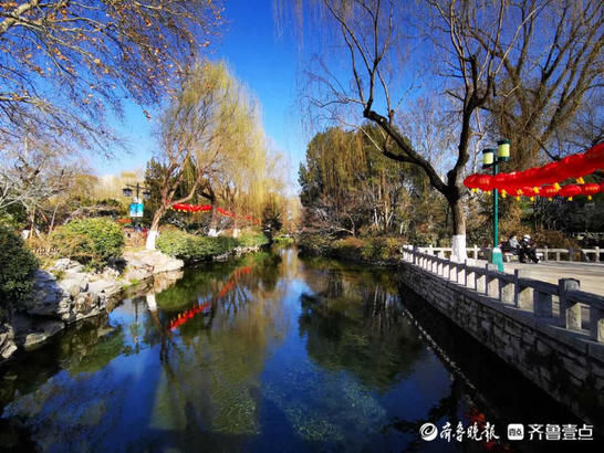 美图|情报站｜“犇”向春天！济南趵突泉的气质蓝上线，碧空如洗美翻了