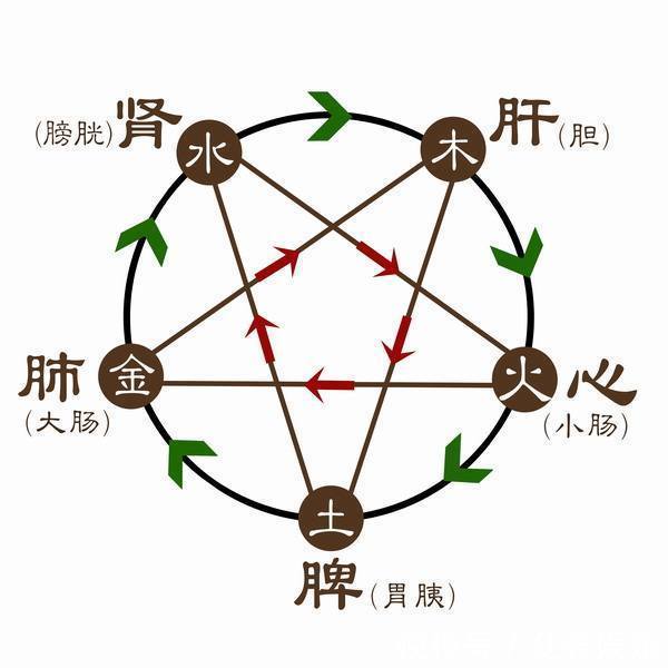 药酒|最适合冬季的“药酒方子”，温补肾阳、活血通络，赶走手脚冰凉！
