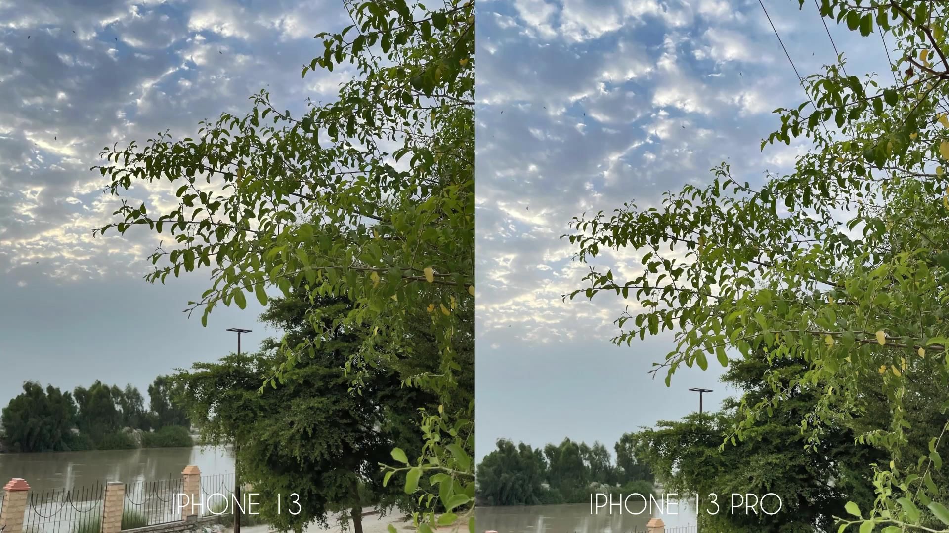 近景处|iPhone13Pro和iPhone13拍照对比：3镜头和2镜头效果差距真大