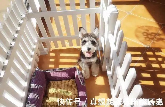 媳妇|媳妇不听劝,非要把阳台改书房,完工后绝了!晒晒