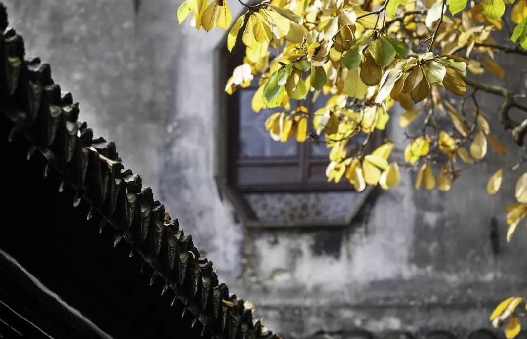 壮哉！新中国少年