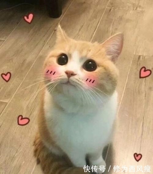 |幽默笑话：今天接到驾校电话说老婆开车撞墙了 让我带钱去医院。