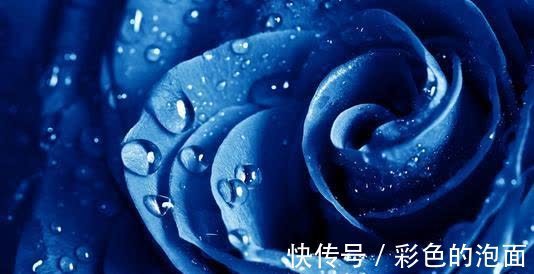 旧爱|8月底红鸾又动，4大星座旧爱回首，分分合合后，看尽人生繁华