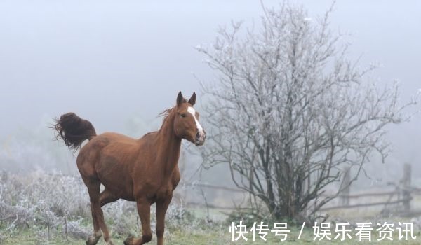 好运|属马人注意了，8月好运压身，财源滚滚来