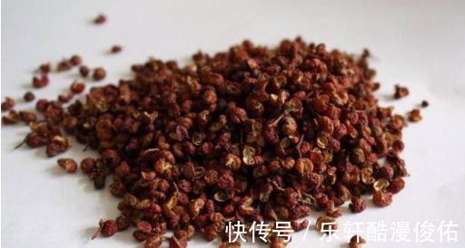 红蜘蛛|花盆里有虫子，有人竟然喷洗衣粉液，撒风油精，连蚊香也用上了