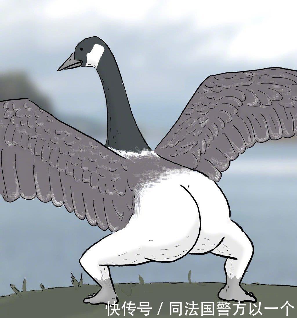 屁股|插画师因为鸟儿看多了,为它们画上屁股,结果被网友们嫌弃了!