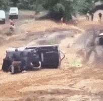 |搞笑GIF:见过荡秋千的,没见过骑摩托车荡秋千的