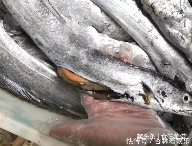 带鱼里吃出一节骨头,像牙齿一样,摸起来硬硬的,你知道原因吗