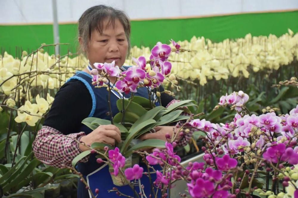 年味里怎少得了开远的“她”