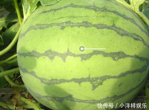 水果|体内“湿气重”的人,尽量少吃这3种水果,特别是最后一种!