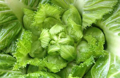 高手|它是“清肠高手”,每周两次,给身体做个“大扫除”瘦腿瘦身!