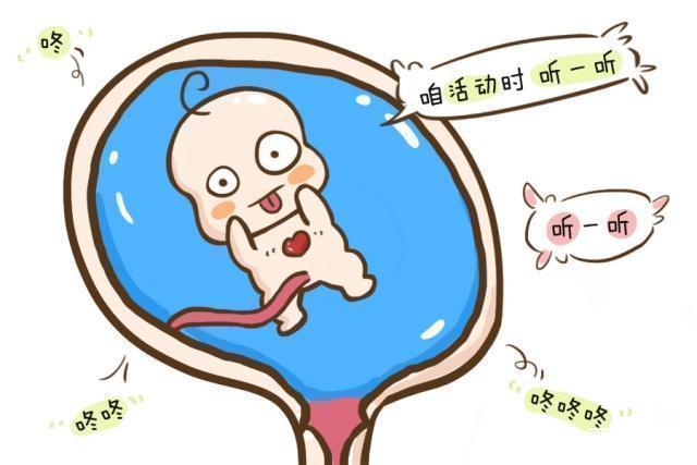 发育|胎宝什么时候长得慢,什么时候长得快?孕妈们可要早点儿搞清楚!