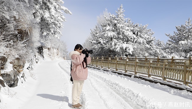 白石山雪后惊现美景：冰挂、雾淞、云海美不胜收