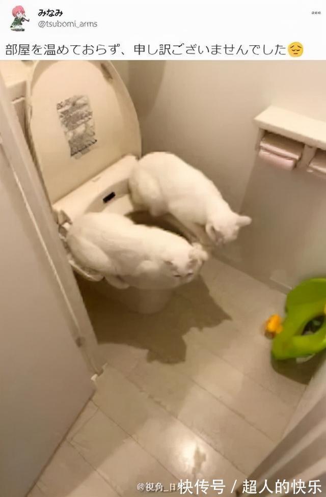 |拍迪士尼烟花翻车现场 冷段子2008