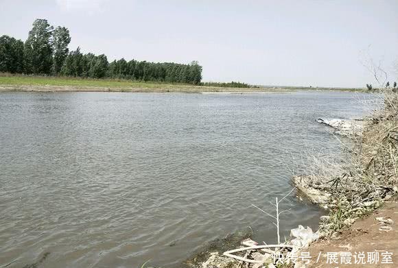 红眼|黄河支流,钓到“怪草鱼”,红眼黄鳃,渔民:黄河力气最大的鱼