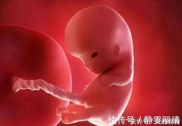 婴儿|怀孕后,身上这些症状“偷偷”消失了其实胎儿一直都在保护妈妈