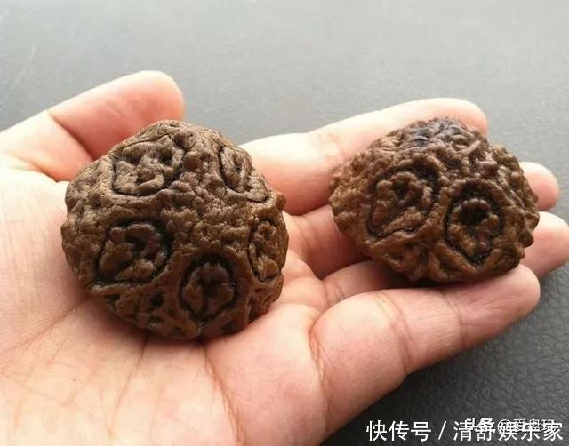 天意|一枚鬼脸菩提,他盘了近10年!这5种小众文玩,你能认全吗?