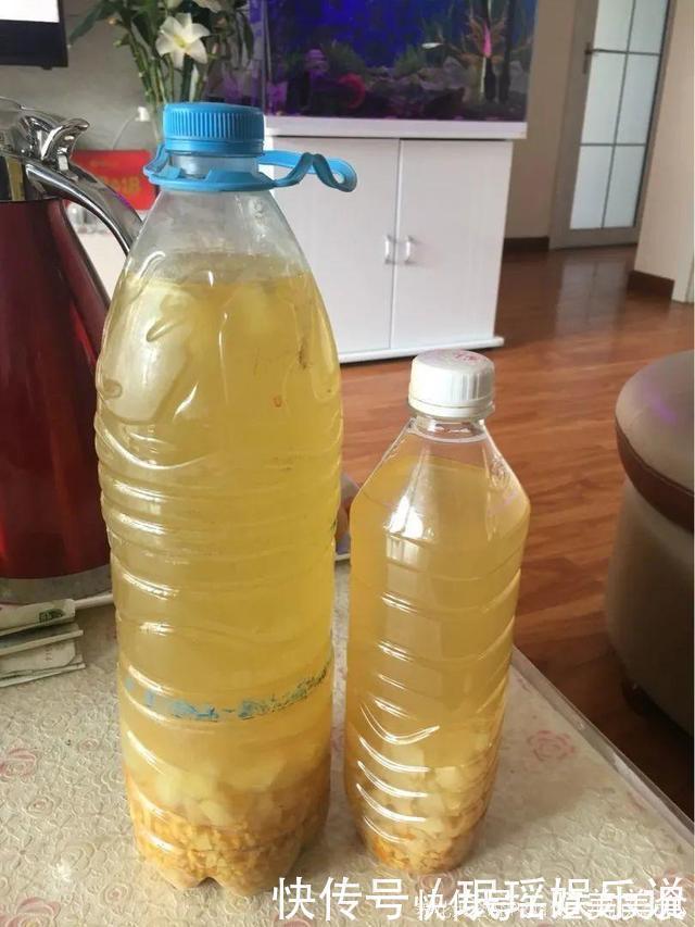 浇花|花盆里冒一层白霜,原来有大危害,抓紧清理