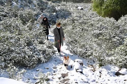 南方的雪景，竟然不输北方