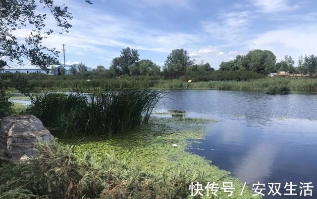 垂钓|野塘垂钓什么钓位好光有水草不够，这样选才能连竿上鱼