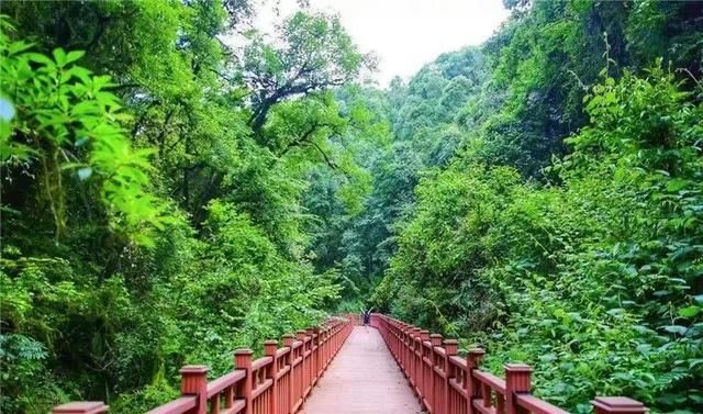 杜鹃|景东杜鹃湖，一座藏在哀牢山之巅的仙境