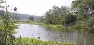 秋钓草边“三钓”、“三不钓”，用好了总有一次要爆护