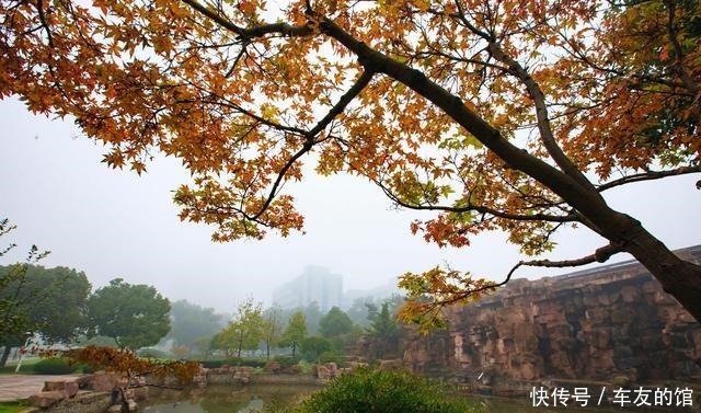 江南贡院|南京秦淮区最地道的南京味道都在这里，当地人都知道！