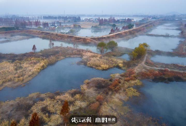 候鸟|吃茭白看芦花拍候鸟，余杭北湖的这个防汛泄洪区成了聚宝盆