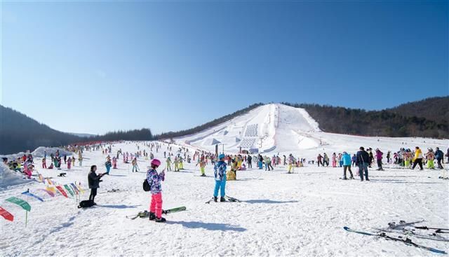 雪场|神农架滑雪季12月4日开启