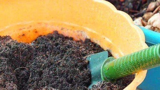 种水|盆土板结怎么办不需要换新土,浇“1种水”就管,土壤立马松软