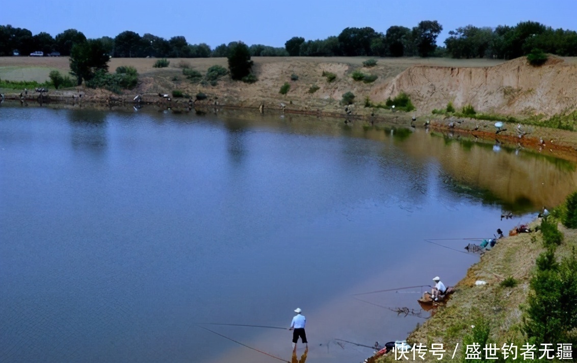 盛世|野钓鲤鱼，关键技巧是这四个，上鱼速度快又狠——盛世三渔