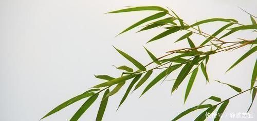 苞米|原来它才是高血压的“祸根”,并非食盐,很多人爱吃,难怪血压高