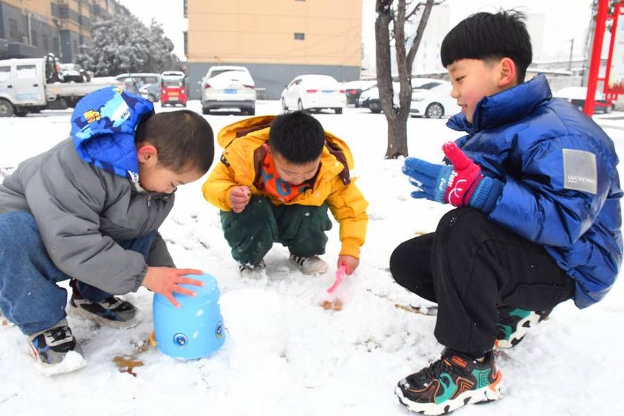 茌平|山东茌平：瑞雪迎新春