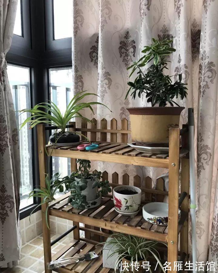 小花园|想在小户型里打造一个花园,不能少了它们,邻居都用它们