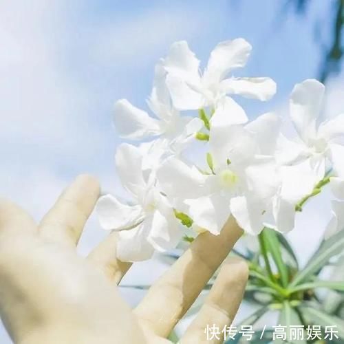 句子 日常限量版的精选句子,简短洋气,让人一见倾心!