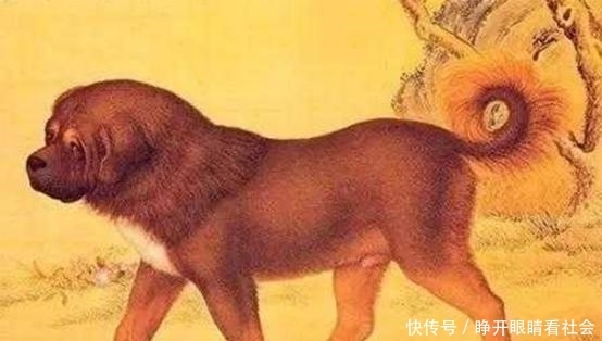 权倾天下|狗、狗肉、狂犬病与人类: 权倾天下的吕后怎会死于狂犬病?