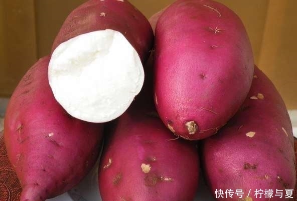 早知|提醒,常吃红薯的人,好处多多,但切记不可与一物同食,早知早好