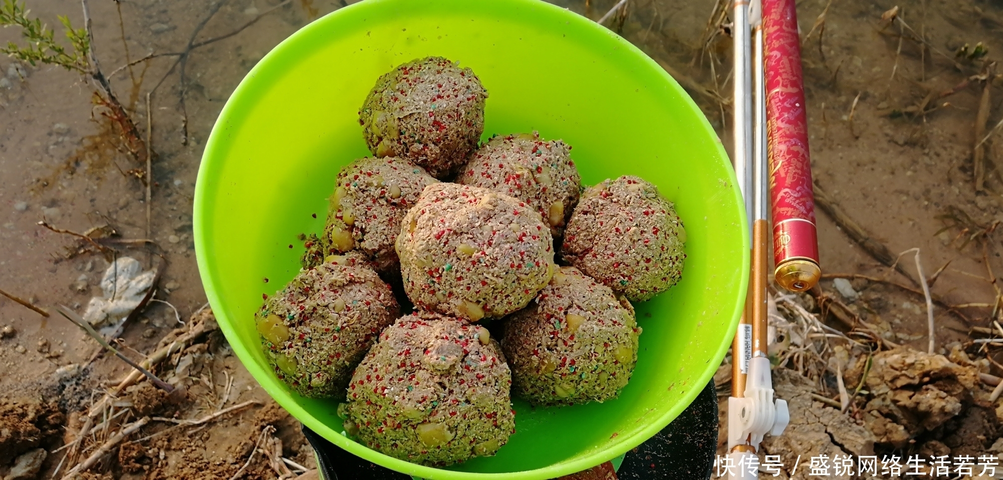 布窝打窝学问多，学会这样去打窝，才能诱鱼快钓得多！